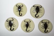 Insect Cabochon Black Scorpion 35 mm Round Glow in the dark 5 pieces Lot picture