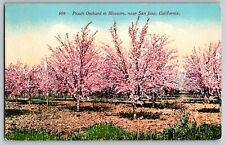 San Jose, California CA - Beautiful Peach Orchard in Blossom - Vintage Postcard picture