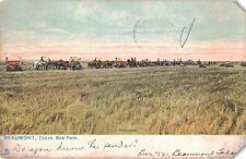 Beaumont TX Texas Rice Farm Harvest Time Tuck's 1907 Postcard B491 picture
