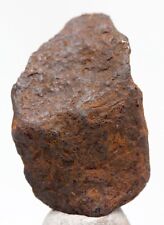 CANYON DIABLO Meteor Crater Iron Meteorite WHOLE Specimen WINSLOW ARIZONA picture