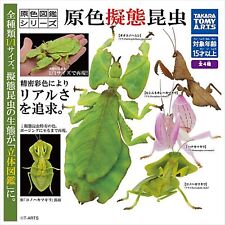Primary color mimicry insects Mantis Real Figure Full set 4 types Capsule toy picture