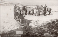 Ponies on Arrival in Antarctica Horses c1919 Postcard E56 picture
