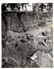 LD311 1937 Original Photo PROVIDENCE CAVES SOIL EROSION GRAND CANYON OF GEORGIA picture
