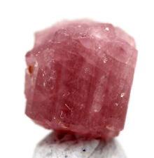 PINK TOURMALINE RUBELLITE Specimen Crystal Cluster Mineral CALIFORNIA w/ ID card picture