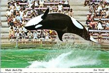 Sea World Orlando Florida Postcard 1970s Shamu Killer Whale Orca Back Flip LD picture