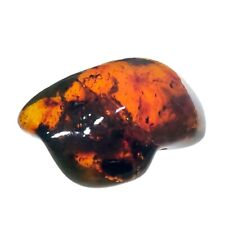 47g Chiapas Mexican Amber Polished Cognac Red Green Stone of Exceptional Quality picture