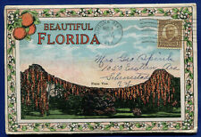 Beautiful Florida 1930s Flame Vine Postcard Folder PF513 picture