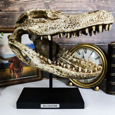 Ebros Faux Taxidermy Alligator Fossil Skull Baring Jaws and Teeth Statue 14.5