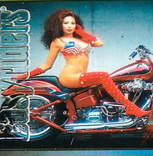 Easyriders S1 #14 Harley Davidson Motorcycle 1989 EVO HD Jim Thompson 80 CI Card picture