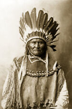 Print: Geronimo, Half-Length Portrait, 1907 picture