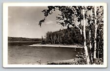 c1942 RPPC Lake Near GAYLORD Michigan MI Nice Msg VINTAGE Real Photo Postcard picture