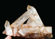 0.78lb Natural Rare Beautiful Pink QUARTZ Crystal Cluster Mineral Specimen picture