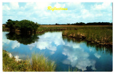 Chrome Postcard Reflections Wetlands Landscape 1962 Dexter Press picture