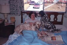 Woman in Bed with Dogs  Laying on Top Newspapers Strewn 1970 Vintage 35mm Slide picture