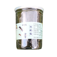 QBG 500g China Black Ant Chinese medicinal materials Polyrhachis Vicina picture