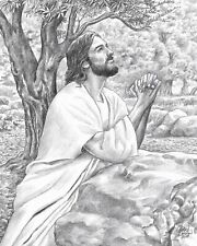 JESUS CHRIST PRAYING GARDEN OF GETHSEMANE 8.5X11 PHOTO POSTER PICTURE SON FATHER picture