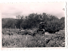 Vintage Photography - Landscape of South Africa - Deforestation - 20th Century picture