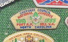 Vintage BSA Boy Scouts America Metal 1985 AP Hill Virginia Cherokee Council Pin picture