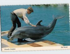 Postcard Friendly Dolphin Sea World Orlando Florida USA picture