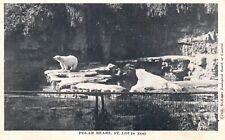 Postcard MO St Louis Zoo Missouri Polar Bears Unposted 1948 Vintage PC G6542 picture