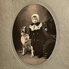 Antique Cabinet Card Photograph Adorable Girl Dog Nellie Wilmington DE ID Klund picture