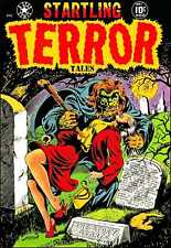 Startling Terror Tales #10  REPLICA Comic Book REPRINT (1952) picture