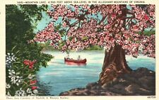 Vintage Postcard Mountain Lake Alleghany Above Sea Level Mountains Virginia VA picture
