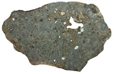 NWA 13788 (34.55g) Meteorite (1 of only 18) Lunar Melt Breccia Classifications picture