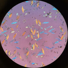 Vintage Microscope Slide Polarization Diatoms Professionally Prepared picture