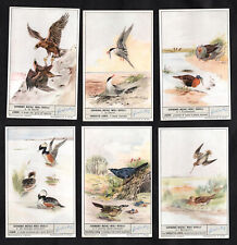 Mating Rituals of Birds Card Set 1954 Liebig Oiseaux Eagle Stern Combat Duck picture