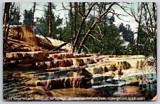 Postcard Angel Terrace Mammoth Hot Springs Yellowstone National Park Posted 1908 picture