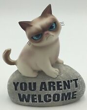 Grumpy Cat By Gang “ You Aren’t Welcome “ Blue Eye Cat Sitting On Rock picture