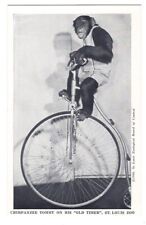 082420 CHIMP TOMMY ON OLD TIMES BIKE ST LOUIS MO CHIMPANZEE SHOW POSTCARD picture