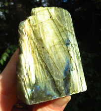 ELECTRIC GOLD LABRADORITE POLISHED FULL SPECTRUM FLASH WIZARD CRYSTAL SLAB picture