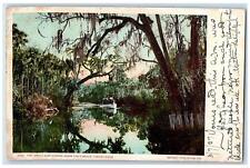 1907 The Uncle Sam Coming Down The Famous Tomoka River Florida FL RPO Postcard picture