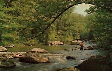Fly Fisherman Raritan River New Jersey 1962 Vintage Chrome Postcard Unposted picture