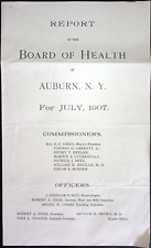 1907 Auburn NY Board of Health Report Death Stillbirth Disease Health Inspection picture
