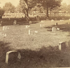 Arlington National Cemetary Graves Soldiers Graveyard JF Jarvis Stereo c1895 SA6 picture