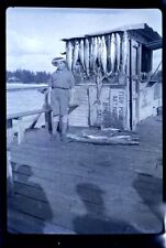 JU28 Vintage 2.5 x 3.5 Negative - Naples Florida Fishing Charter, The Days Catch picture