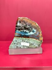 Rare mix color light white brown petrified wood polished 1106gr (10x6x11cm) 401 picture