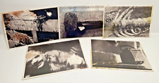 TEXAS CHAINSAW MASSACRE CRIME SCENE EVIDENCE PHOTOS 5x7 Cards picture