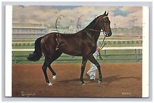 Postcard 1964 NY Racehorse Kelso Sport Track View New York               picture