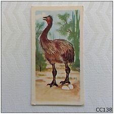 Brooke Bond Prehistoric Animals #32 Aepyornis Tea Card (C) (CC138) picture