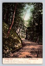 Brattleboro VT- Vermont, Cascade Road, Antique, Vintage c1907 Souvenir Postcard picture