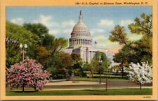 Washington DC US Capitol with Cherry Blossoms Vintage Postcard Unposted Unused picture