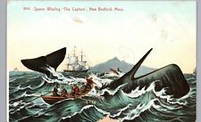 NEW BEDFORD MASSACHUSETTS SPERM WHALING BOAT c1910 original antique postcard ma picture