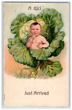c1910's Cute Girl Just Arrived In Cabbage Embossed Unposted Antique Postcard picture