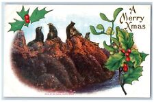 Christmas Postcard Seals At The Rocks Pacific Ocean Holly Berries Mistletoe picture