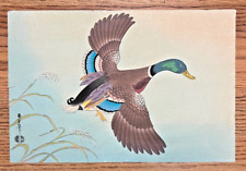 Vintage Japanese Woodblock Print Mallard Duck by Asada Benji Ca. 1950 picture