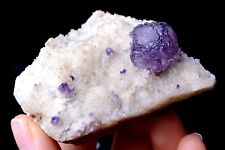 114g Newly DISCOVERED RARE PURPLE CUBE FLUORITE CRYSTAL MINERAL SPECIMEN picture